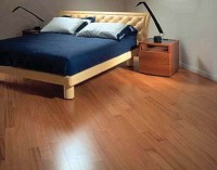parquet, lutte anti-parasitaire